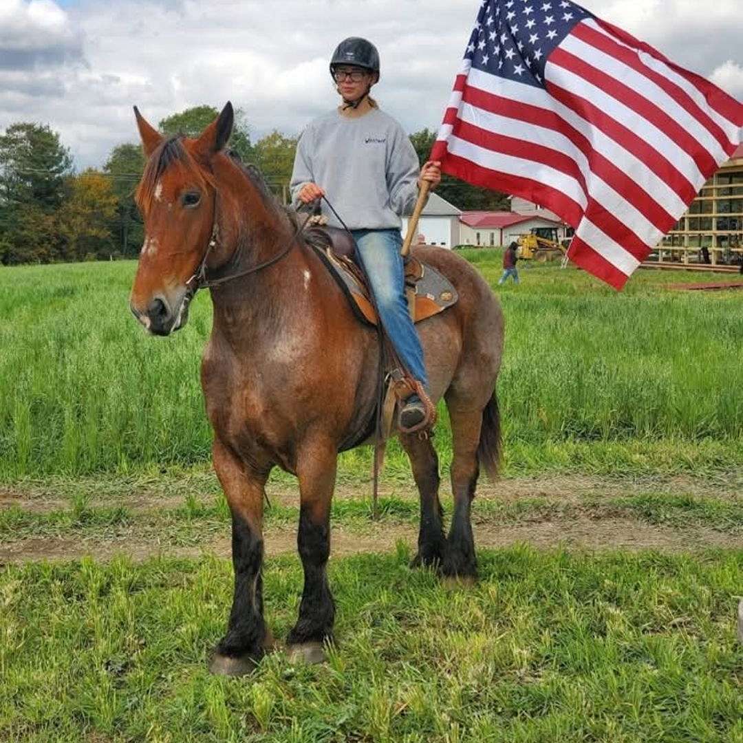 C&K STABLES LLC