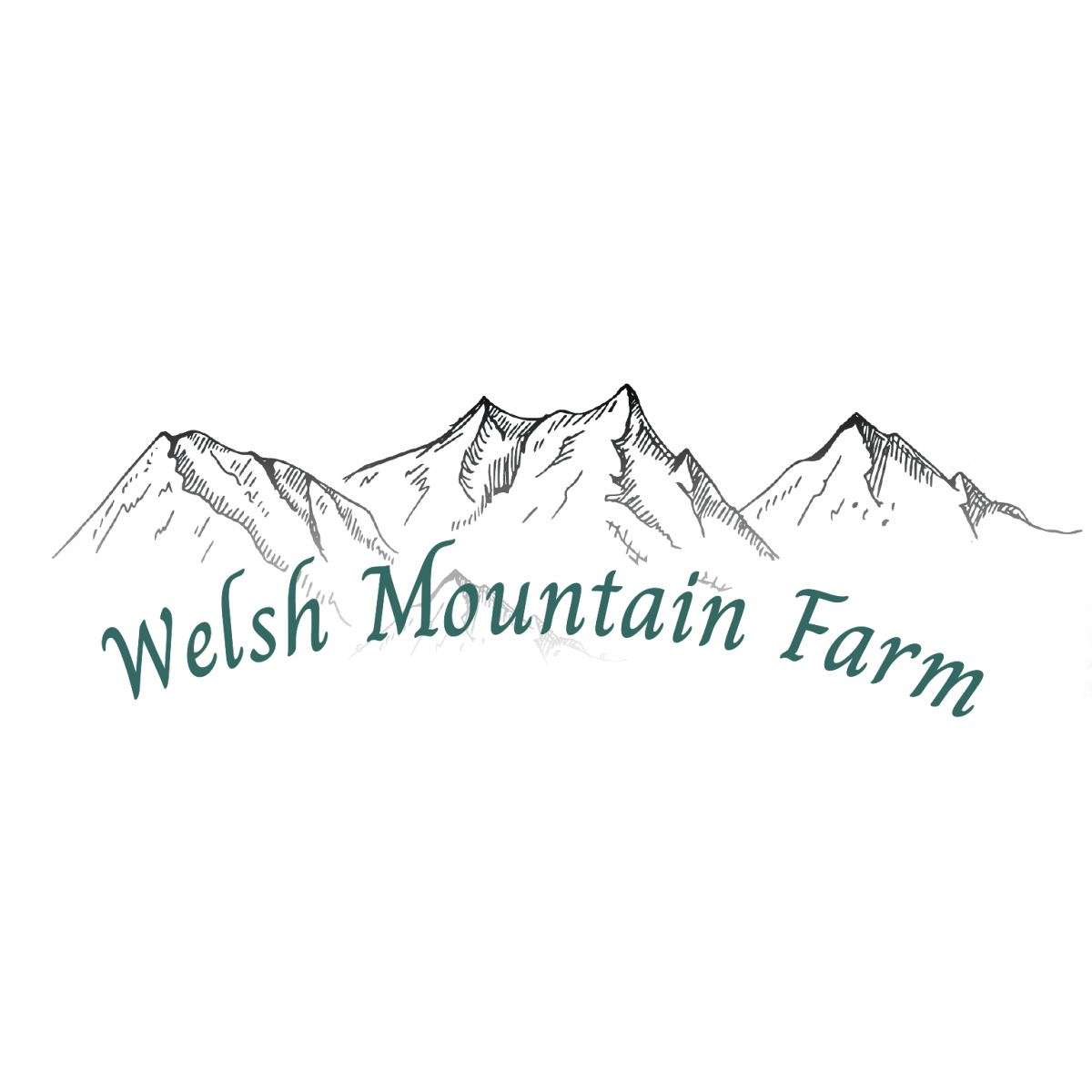 Welsh Mountain Farm