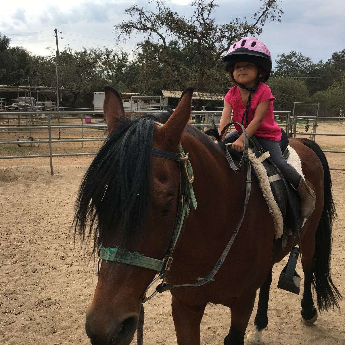 Golden Sparrow Ranch