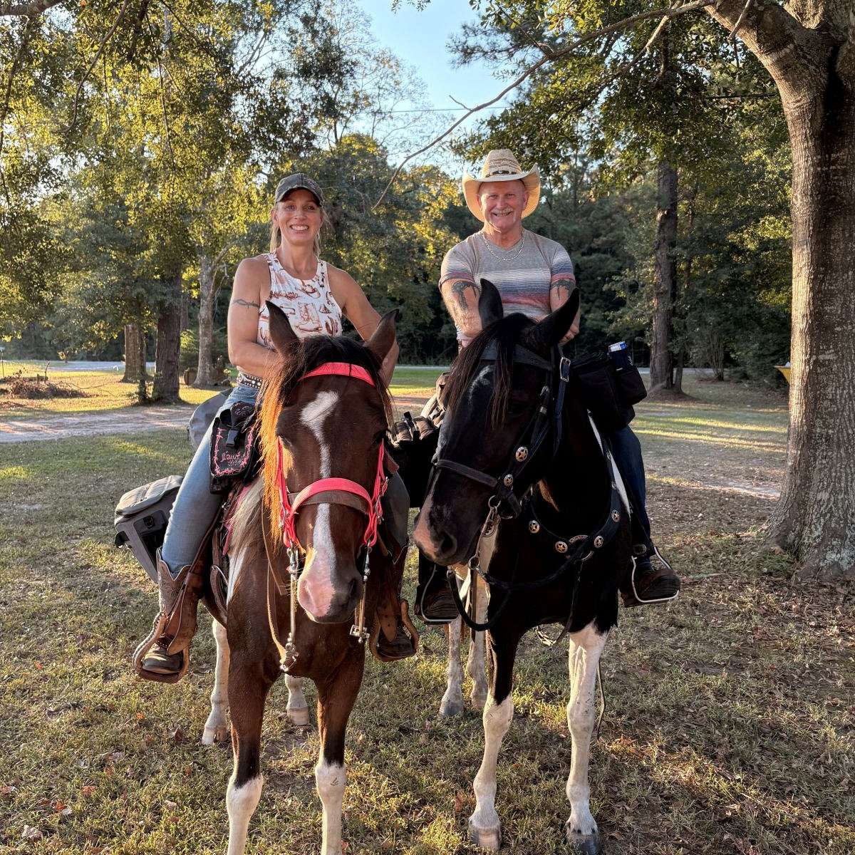 DC Spotted Saddle Horse Stables
