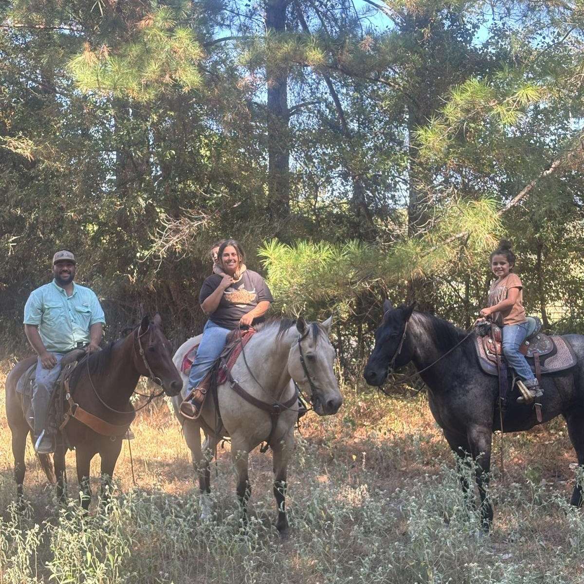 DL Equine  Consignments 