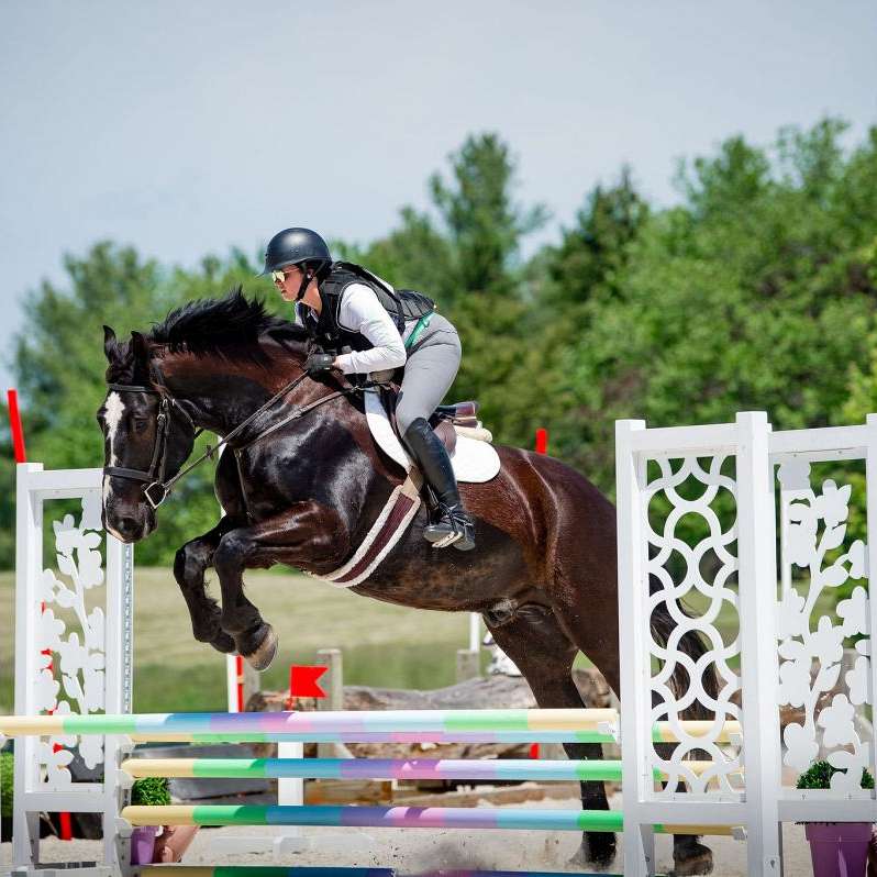 Gleneden Horses and Ponies 