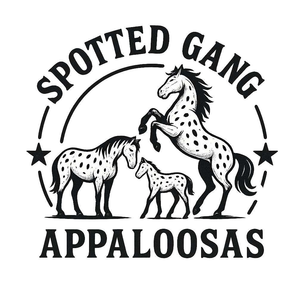 Spotted Gang Appaloosas
