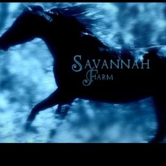 Savannah Farm