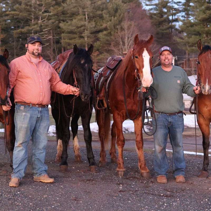 P  H Horse and Pony Sales