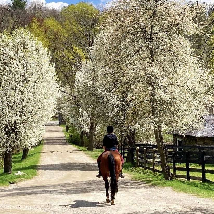 Access Equestrian Inc.