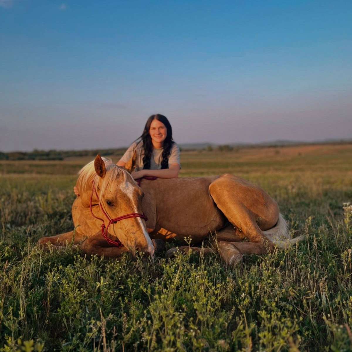 Circle I Performance Trail Horses 