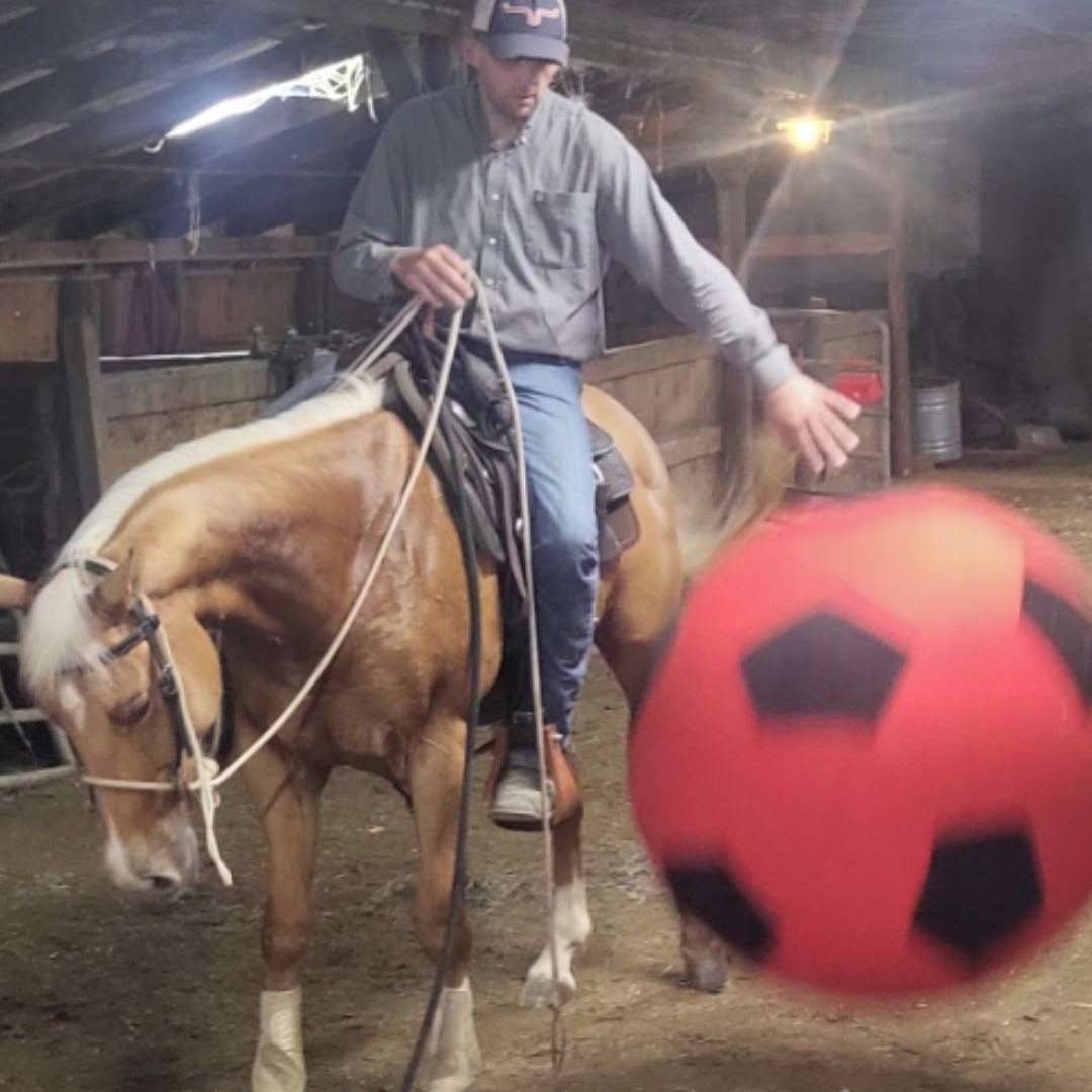 Mantz horse copany
