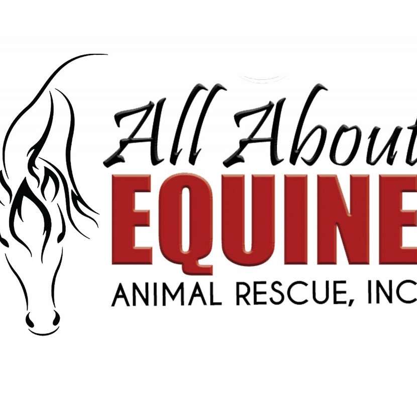 All About Equine Animal Rescue Inc.