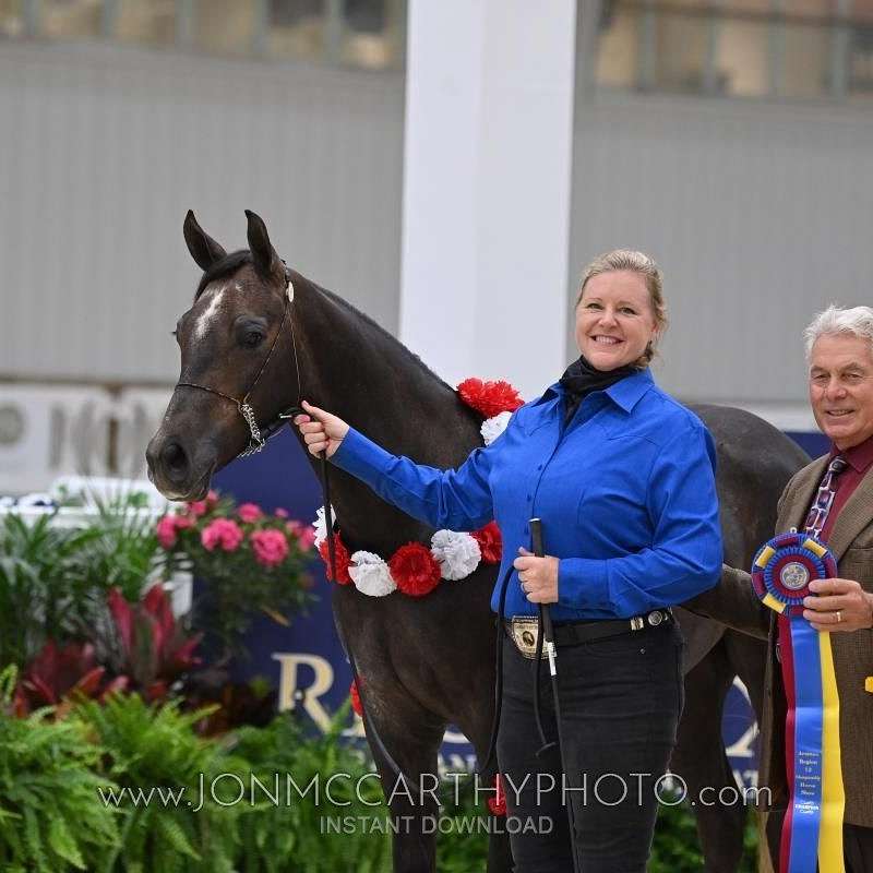 Silverpine Arabians