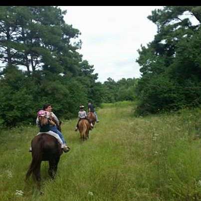 Tarkington Trails & Stables