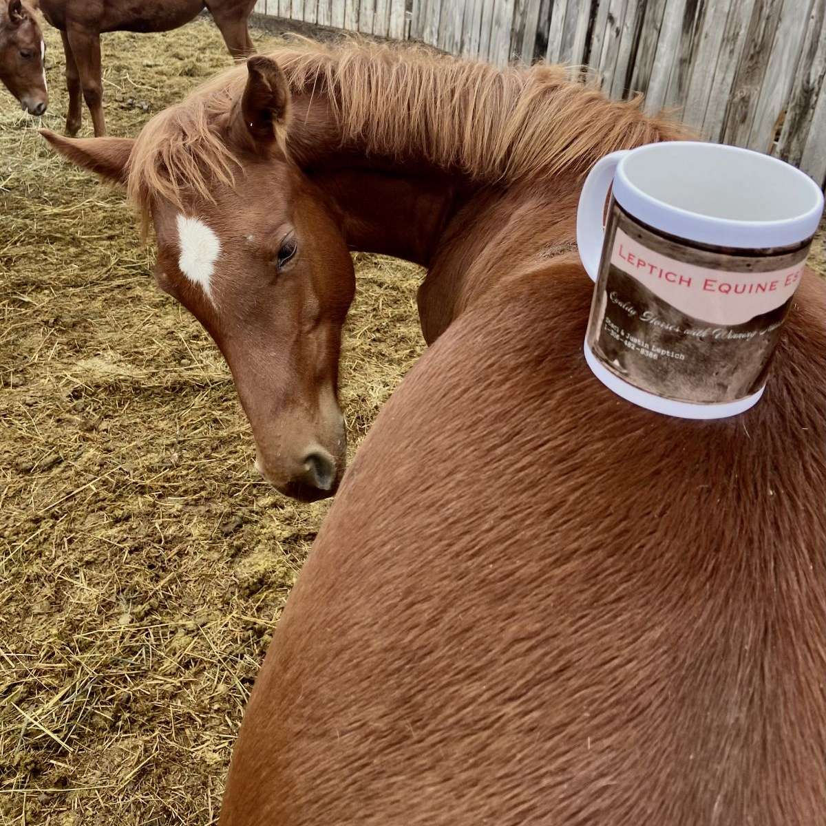 LEPTICH EQUINE ESTATE