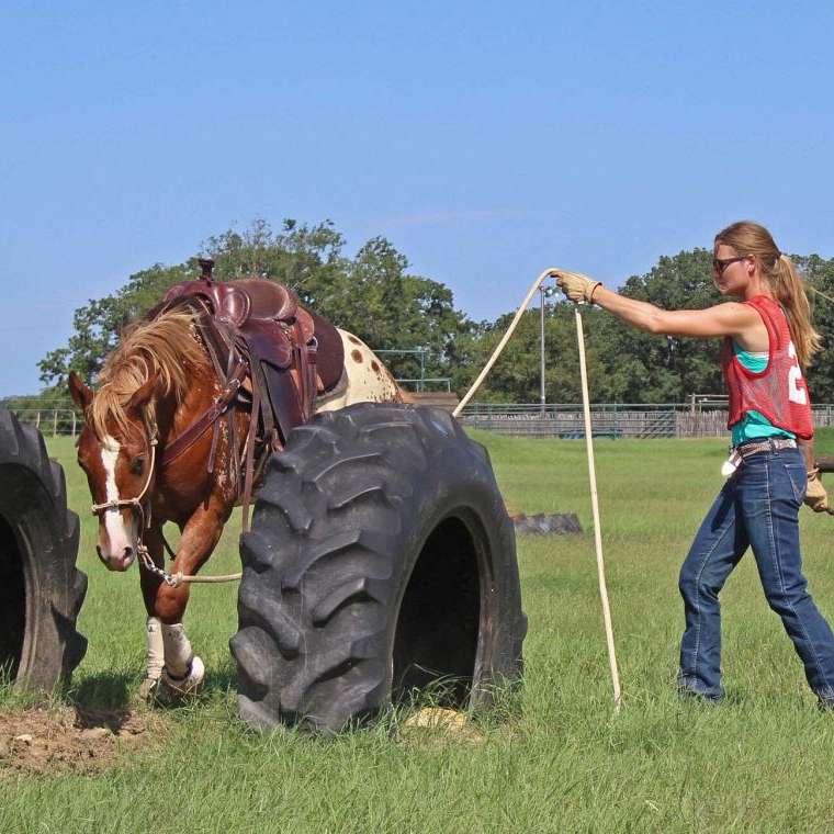 Gritty Barrel Mare Ready to Go Win