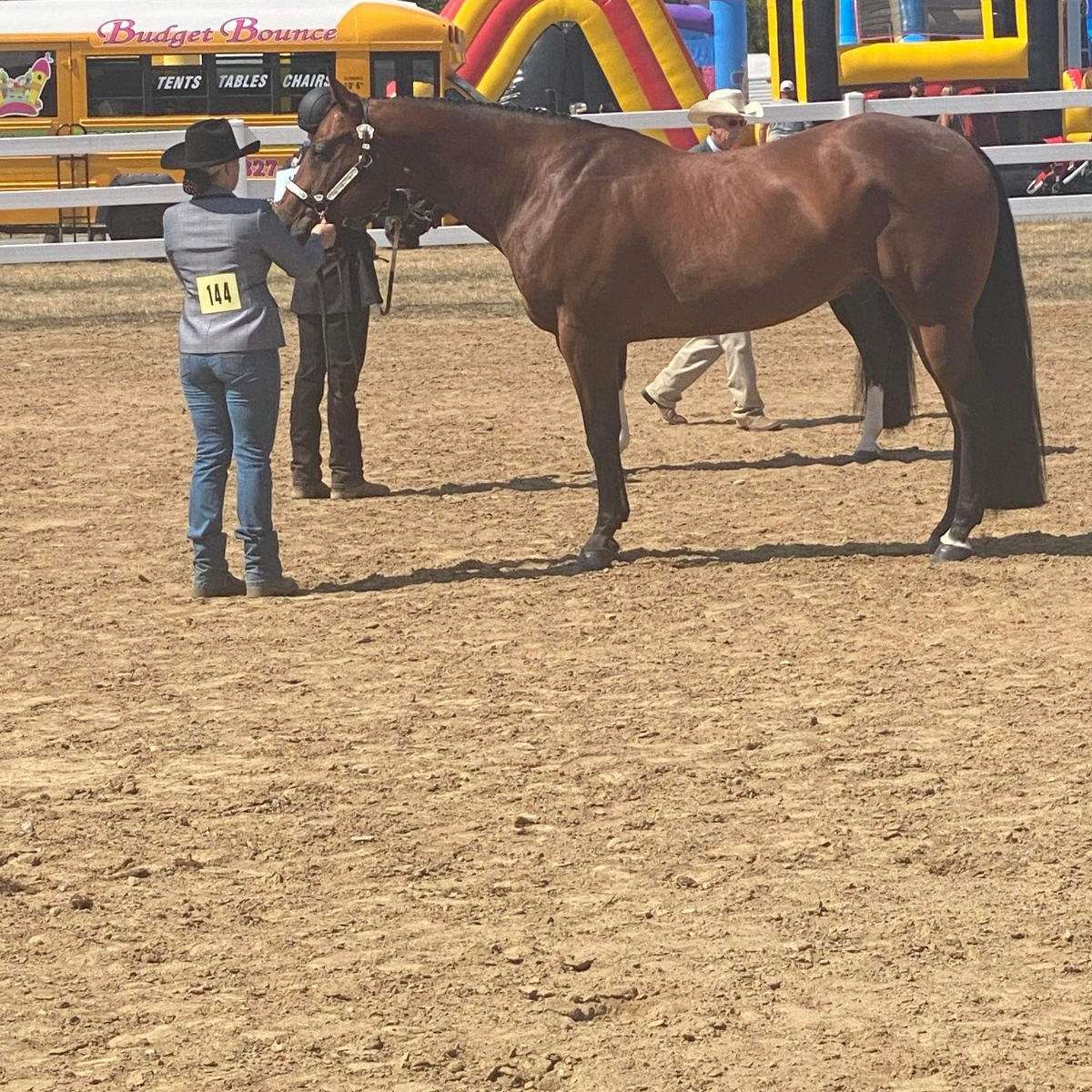 Silver star farm