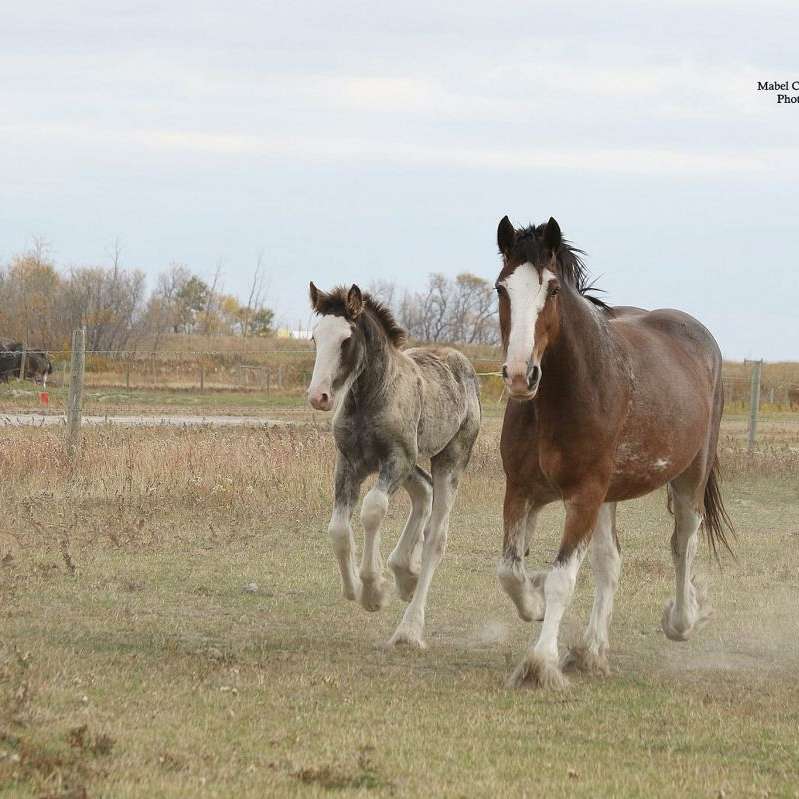 Tail Winds