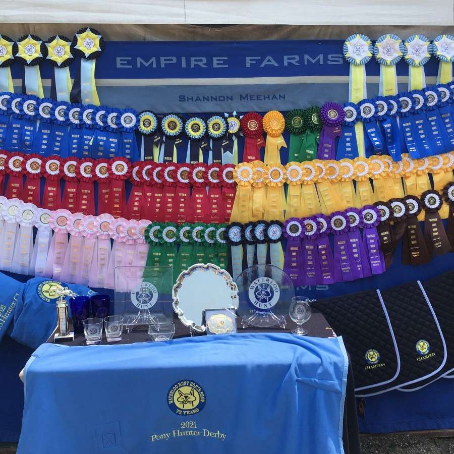 Brave Jumper/Eventer