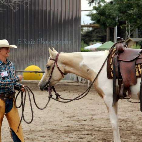 Sandy Smyth Training