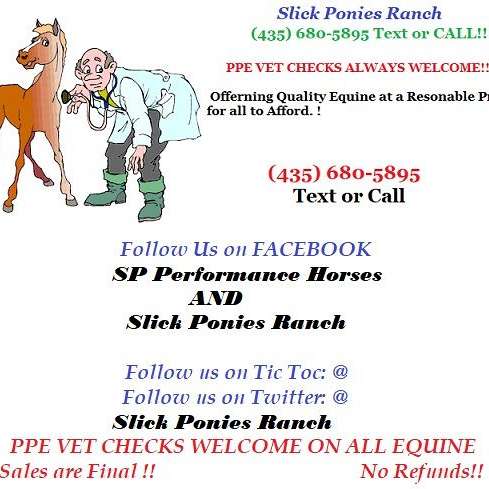 Slick Ponies Ranch