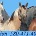 Bedonna's Stallion Station and Performance Horses 