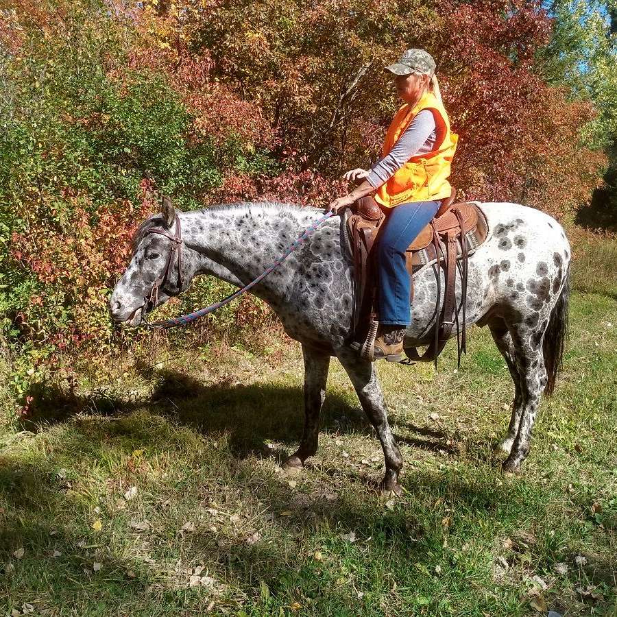 Primed and Painted Acres