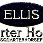 Ellis Quarter Horse Farm