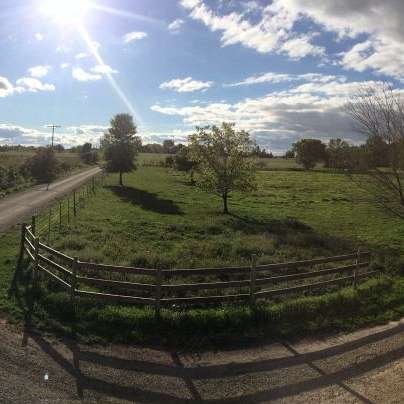 Buser Cattle Company LLC