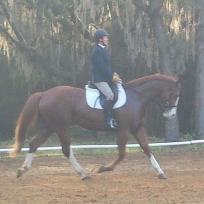 Glover's Stables  Equestrian Center