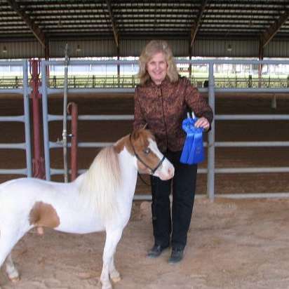 Sundance Oaks Miniature Horse Farm