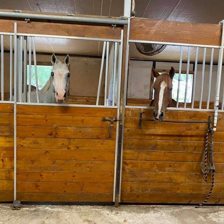 Simpson Equestrian Center LLC