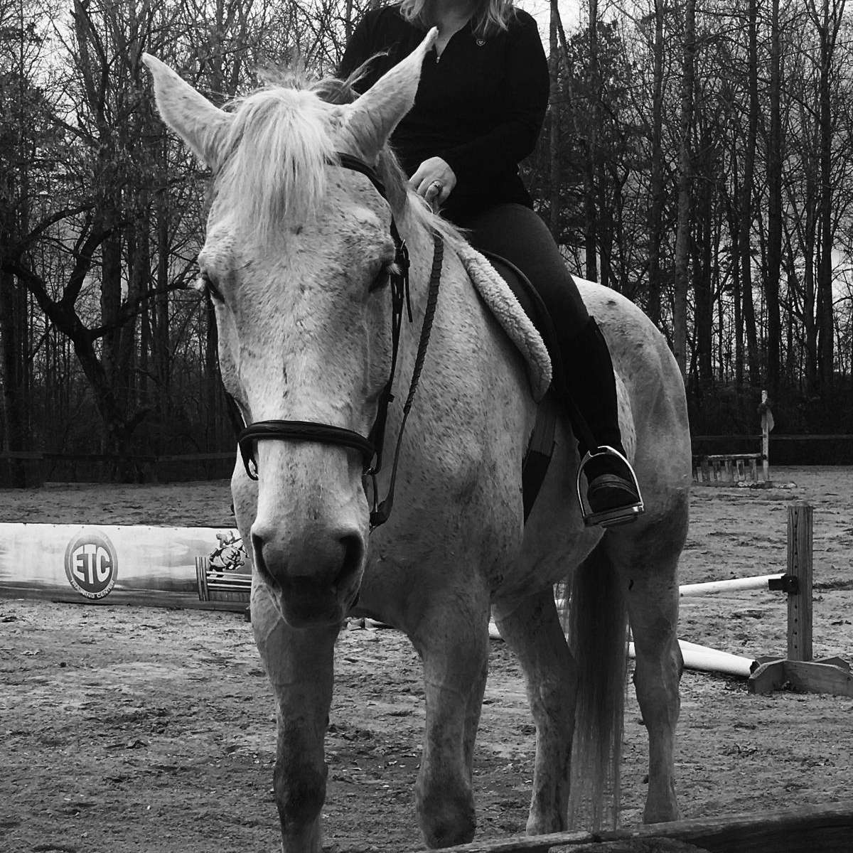 EQUESTRIAN TRAINING CENTER of Ocala