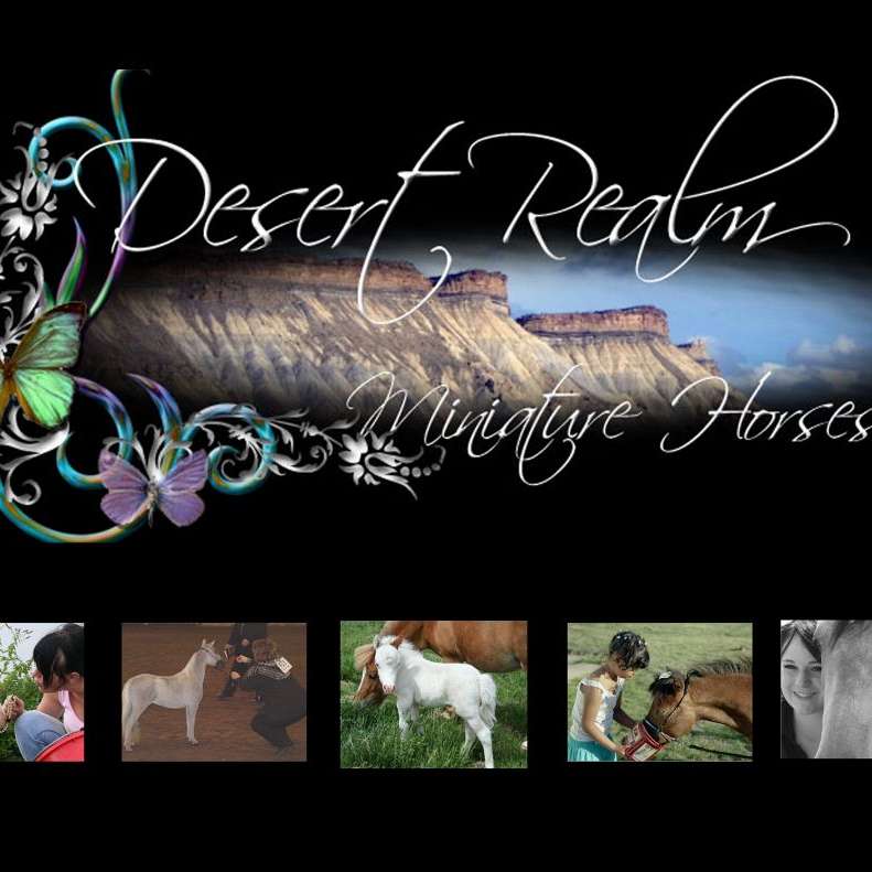 *~*Desert Realm Miniature Horses*~*