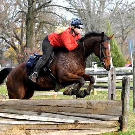 Quest For Champion Stables