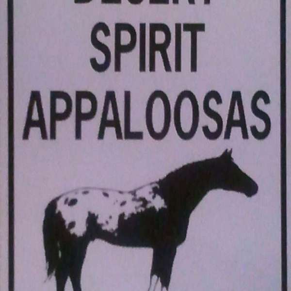 Desert Spirit Appaloosas