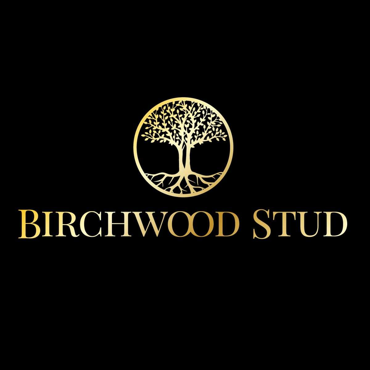 Birchwood Stud LLC