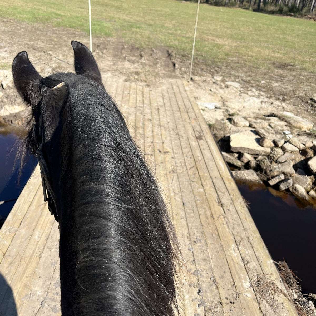 Cohutta Stables