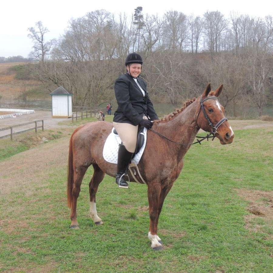 Mountain Creek Stables