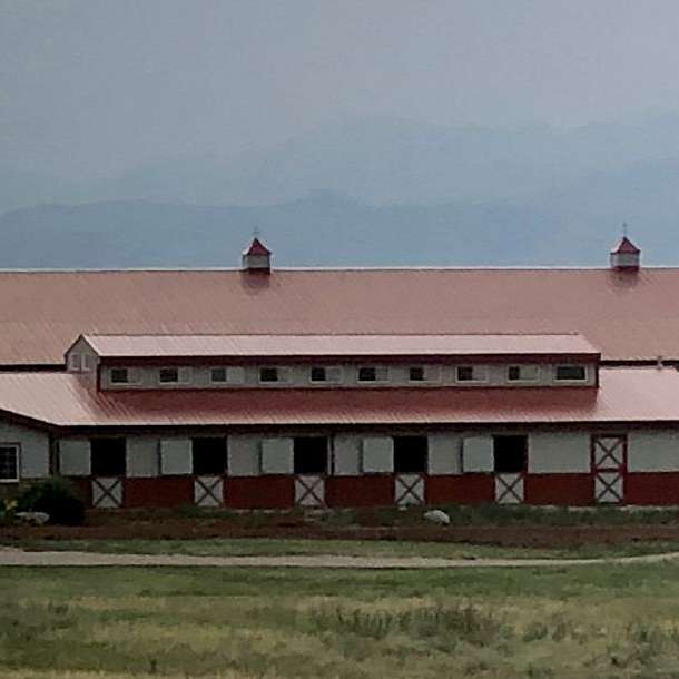 Paradox Ranch Arabians