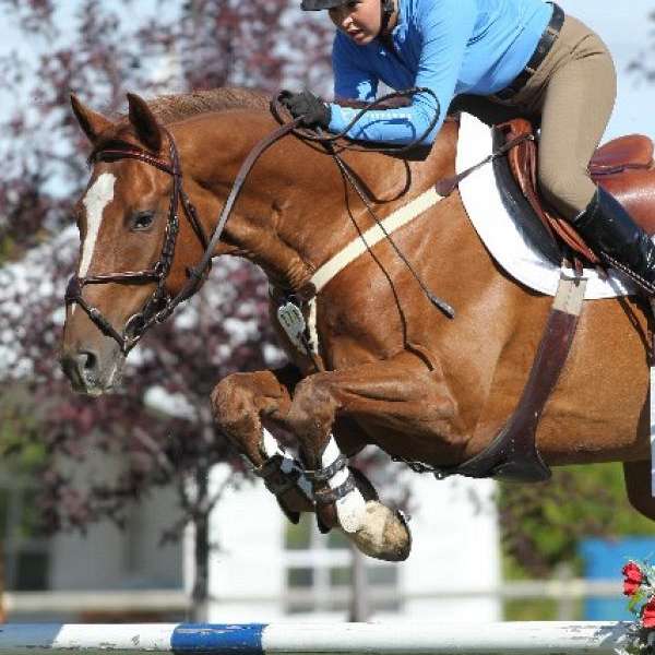 Ridge View Equestrian Center