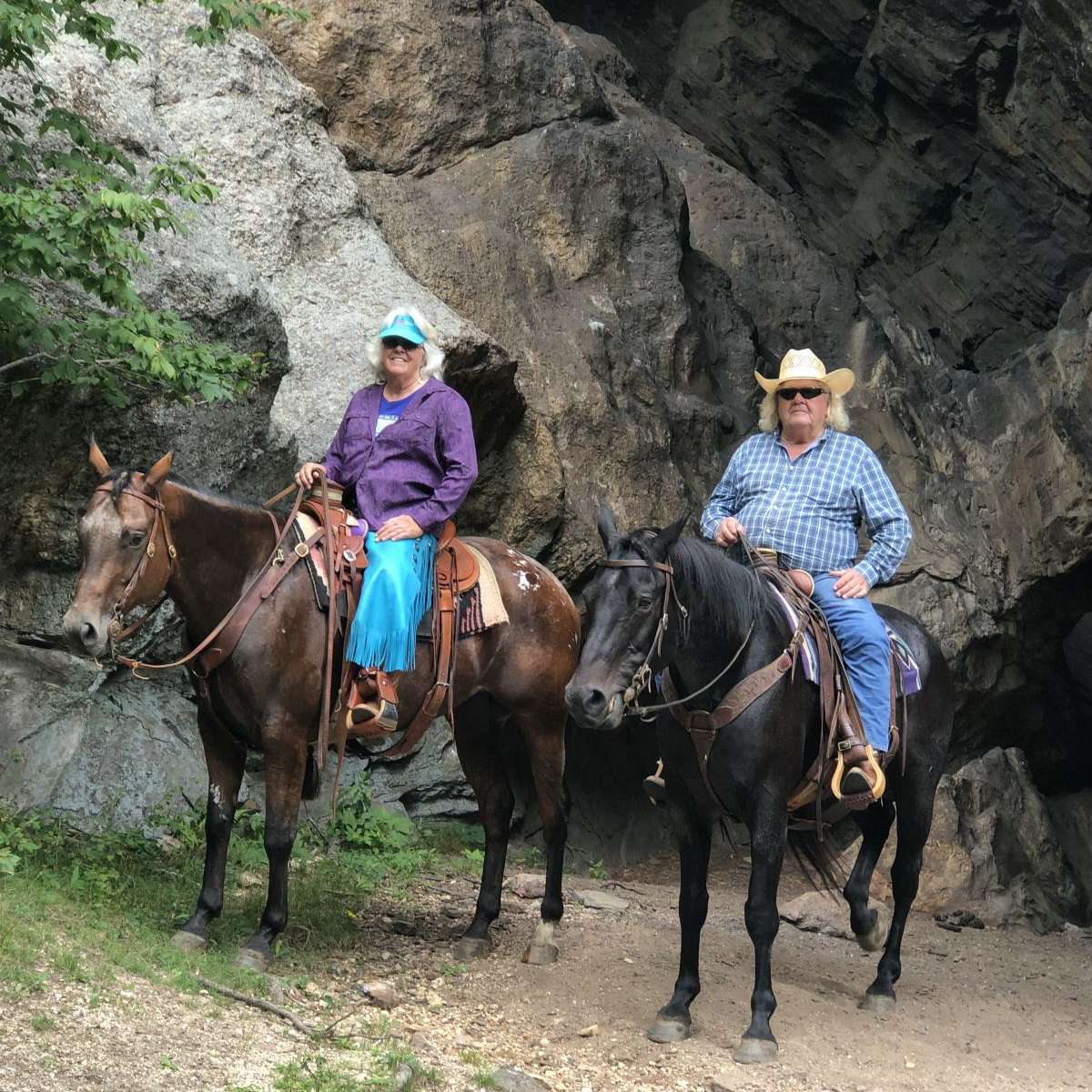 Bolding Horses
