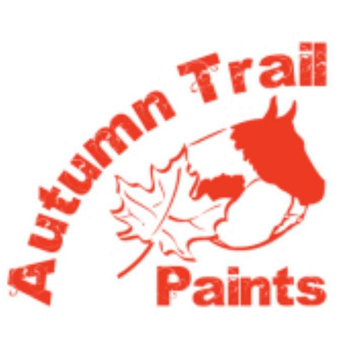 Autumn Trail Paint Horses