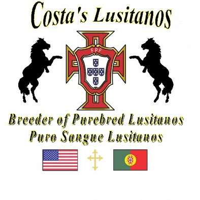 Costa's Lusitanos
