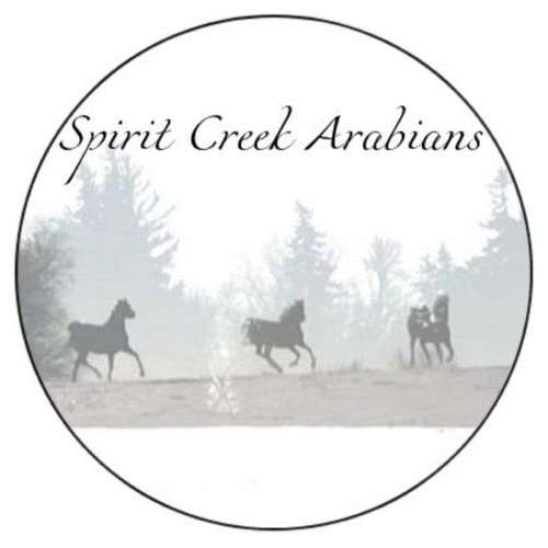 Spirit Creek Arabians