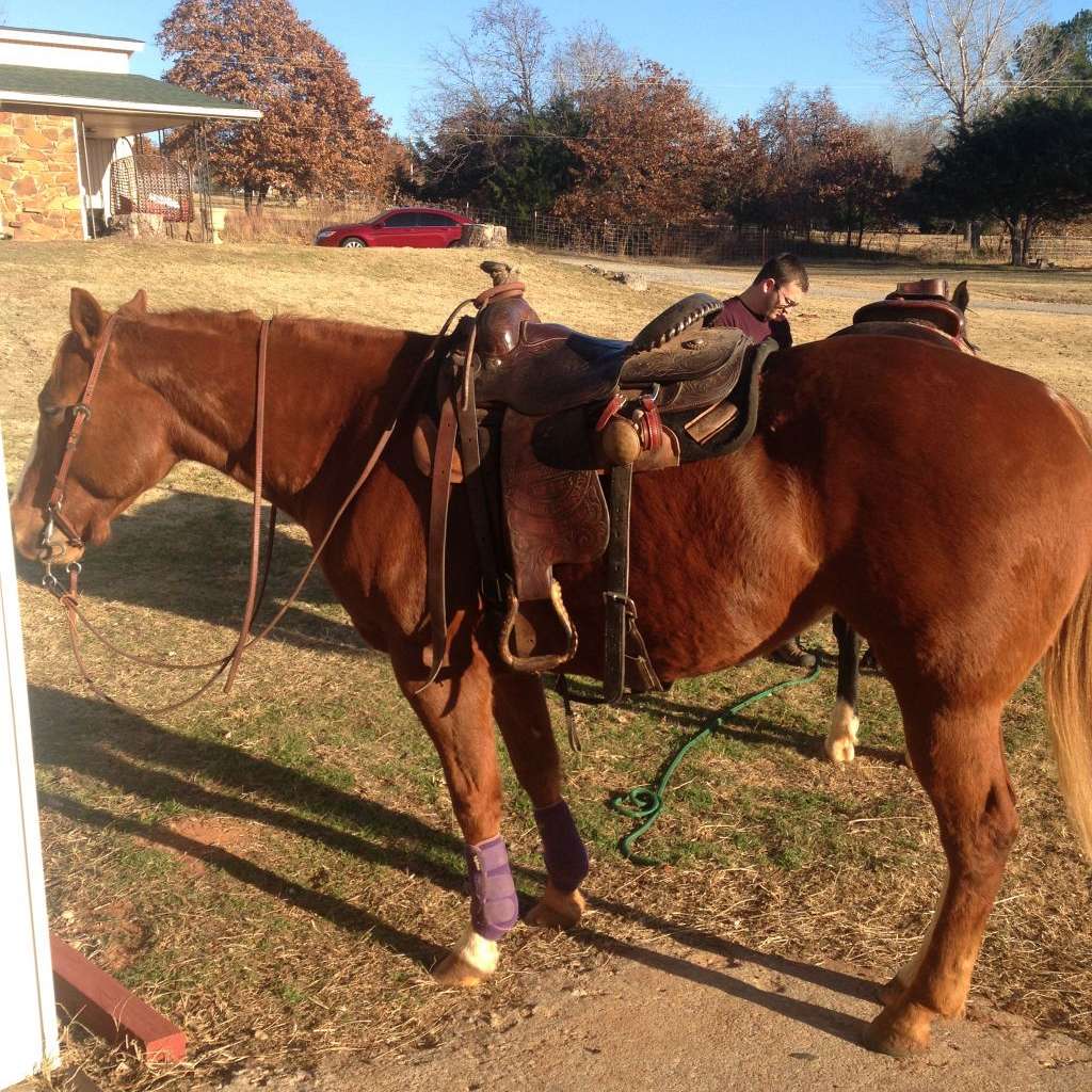 Rein with Grace Horsemanship