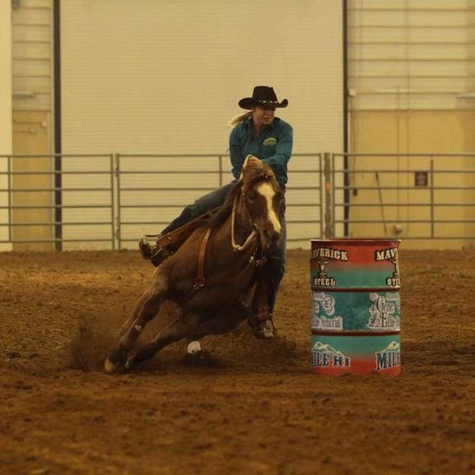 Lynnsey's Lessons and Training in Eaton CO