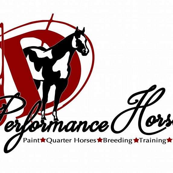 JD performance horses