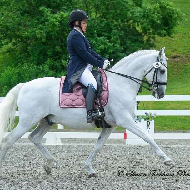 Moonlight Equestrian Center