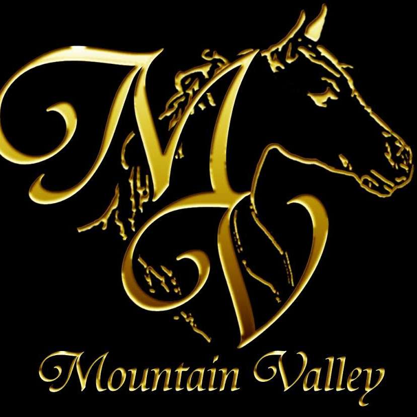 Mountain Valley Paints and Arabians