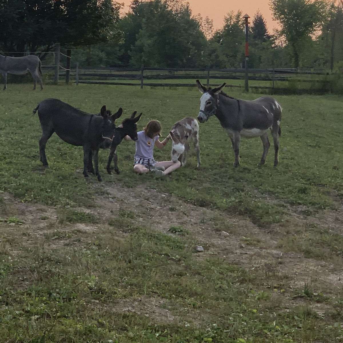 Gracelynd Farms