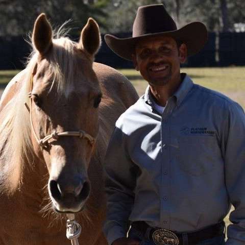 Platinum Horsemanship