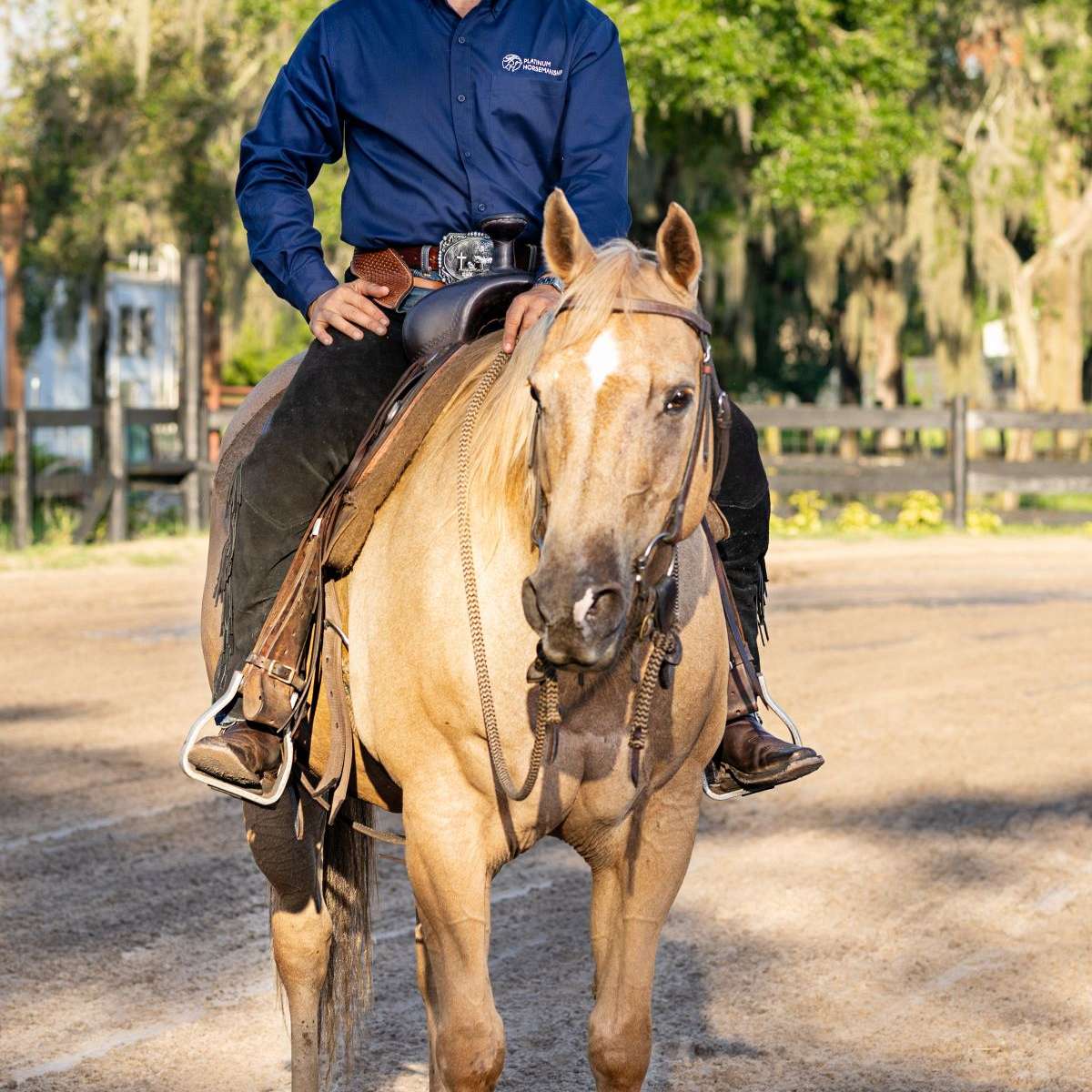 Platinum Horsemanship